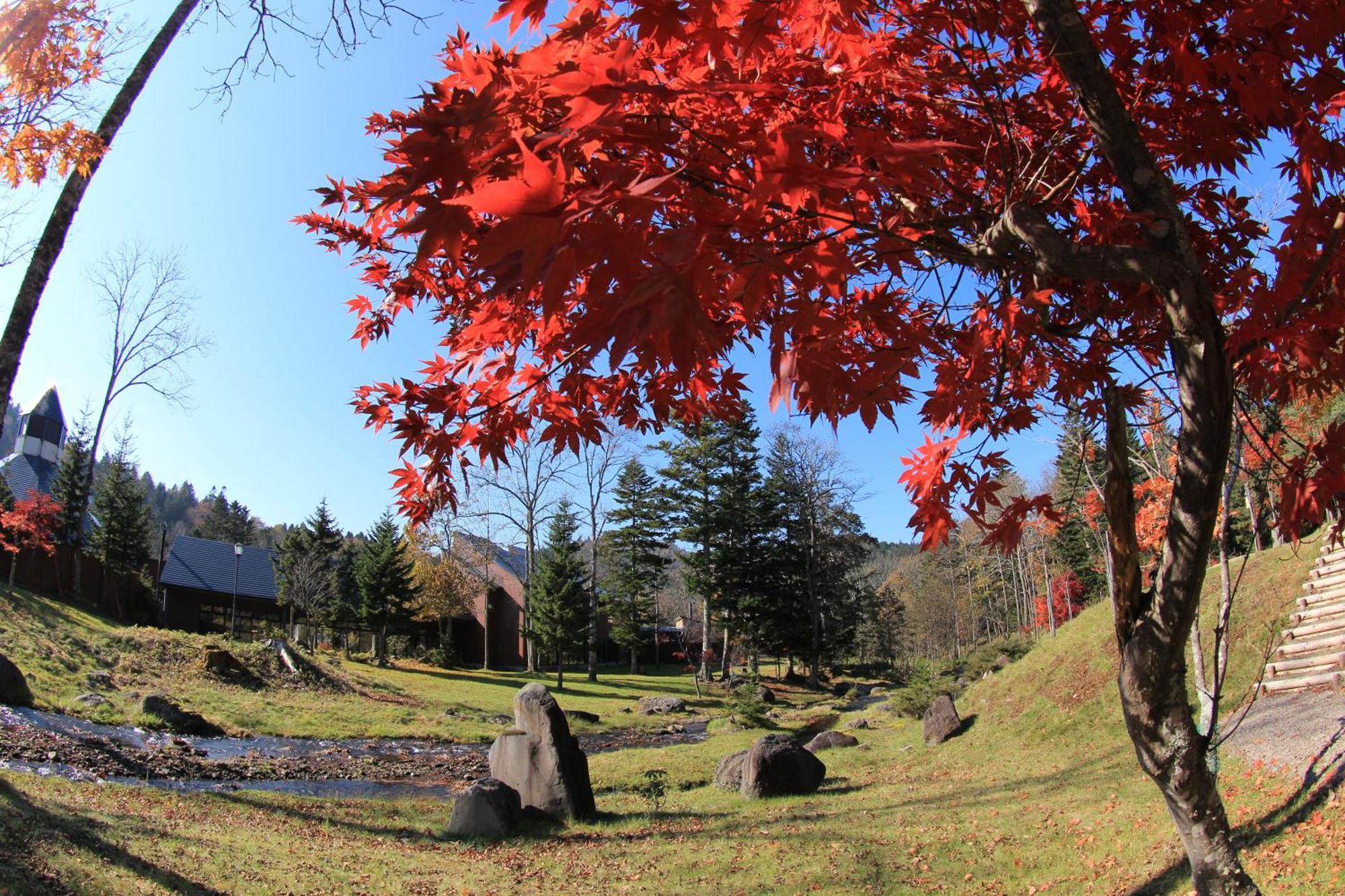 โรงแรมแลมป์ โนะยาโดะโมริ สึเบตสึ Tsubetsu ภายนอก รูปภาพ
